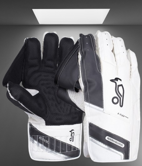 Keeping Gloves image