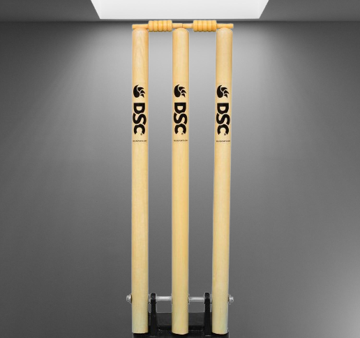 Cricket Stumps Image