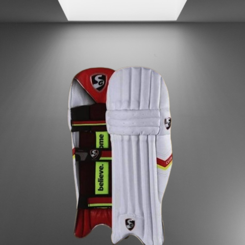 Batting Pads Image