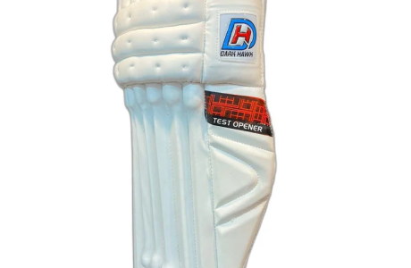 White & Blue Cricket Batting Pads