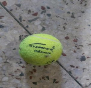 Tennis Ball