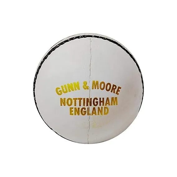 GM Leather Cricket Ball